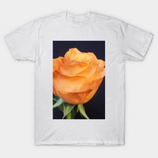 Orange Rose T-Shirt